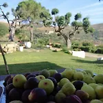 Alba In Vigna Alloggio in famiglia *