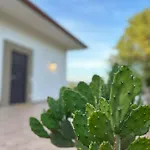 Alba In Vigna