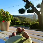 Kwatera prywatna Alba In Vigna *