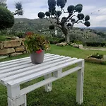 Alba In Vigna Homestay szállás Laureana Cilento