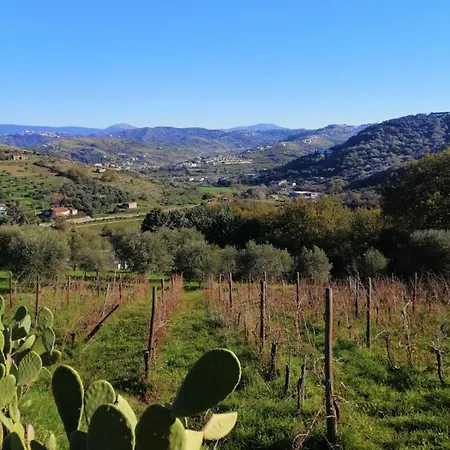 Alba In Vigna Laureana Cilento
