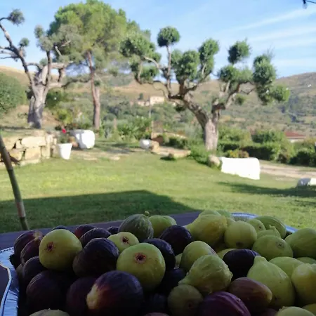 Alba In Vigna Homestay *
