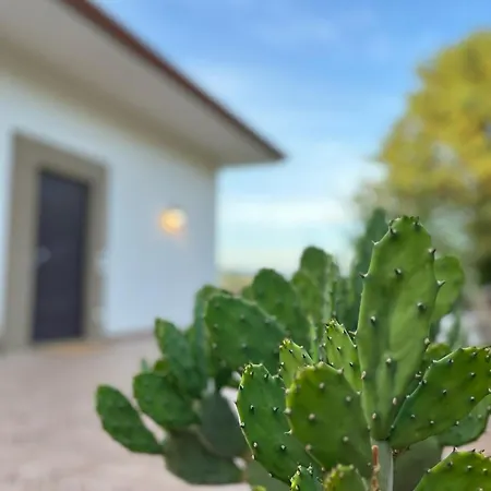 Alba In Vigna