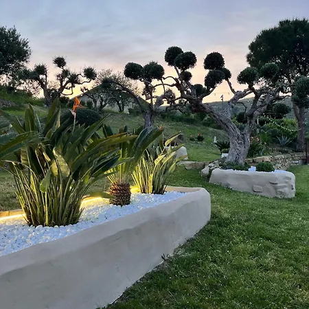 Homestay Alba In Vigna Laureana Cilento