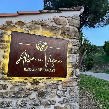 Homestay Alba In Vigna Laureana Cilento