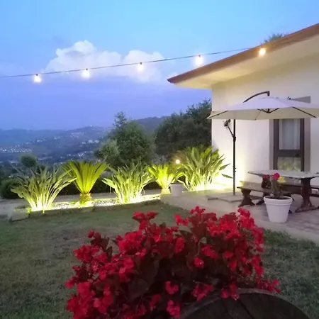 Alba In Vigna *