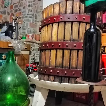 בית אירוח Alba In Vigna *