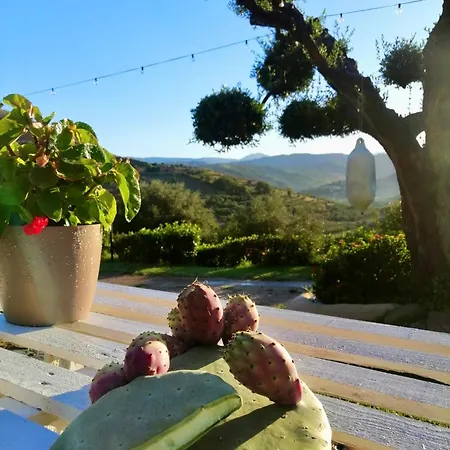 Homestay Alba In Vigna *
