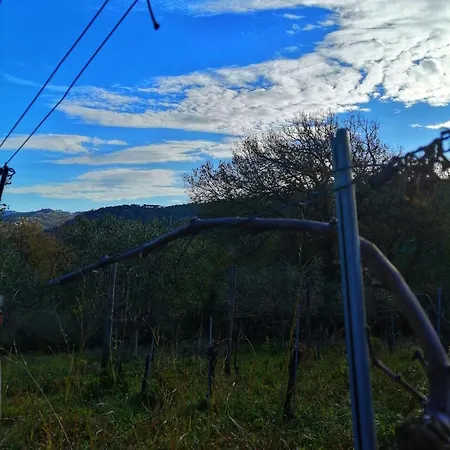Homestay Alba In Vigna *