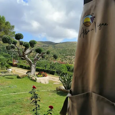 Alba In Vigna Laureana Cilento