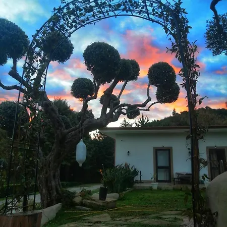Alba In Vigna Homestay *