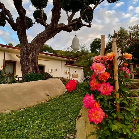 Alba In Vigna Laureana Cilento
