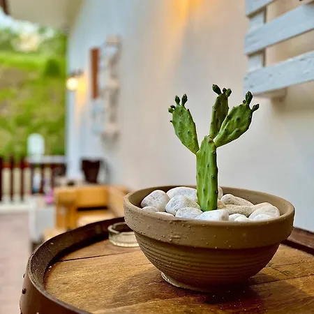 Homestay Alba In Vigna
