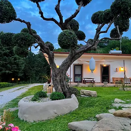 Alba In Vigna Homestay szállás *