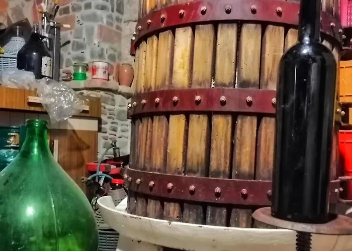 Séjour chez l'habitant Alba In Vigna *