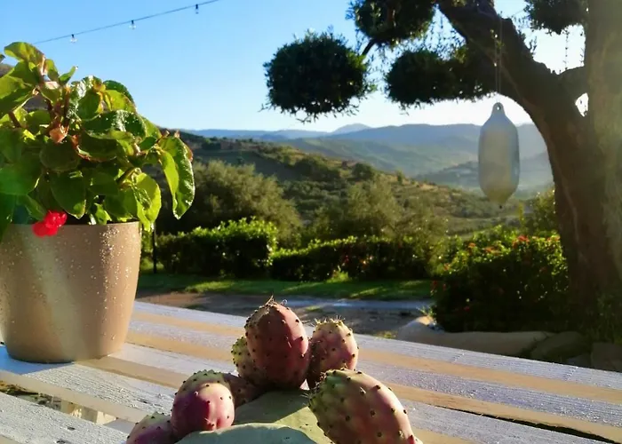 Séjour chez l'habitant Alba In Vigna *