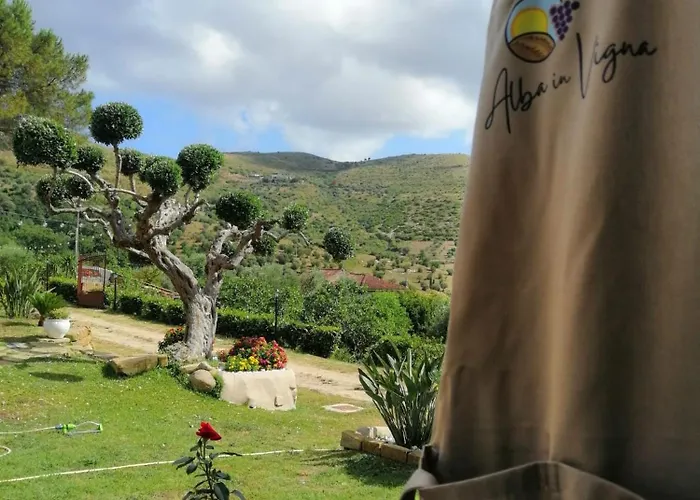 Alba In Vigna Laureana Cilento