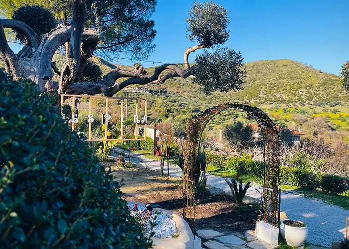 Alba In Vigna * Laureana Cilento